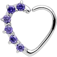 Body Candy Women's 16 Gauge Purple Heart Right Closure Daith Cartilage Tragus Earring Body Piercing Barbell, One Size