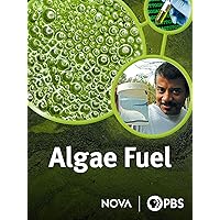 Algae Fuel