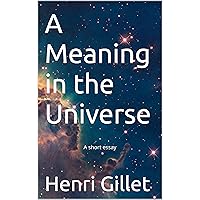 A Meaning in the Universe: A short essay