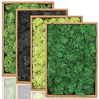 Preserved Moss Natural Dried Reindeer Moss, 1.76 lb Multicolored Moss for Crafts Floral Moss for DIY Arts Wall Home Office Terrariums Wedding Centerpieces Decoration