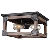 Sea Gull Lighting 7513302-846 Dunning Two-Light Flush Mount Ceiling Light, Stardust Finish