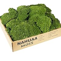 NAHUAA Preserved Moss for Plants Indoor, Green Moss for Craft, Green Decor, Terrarium Supplies, Decorative Moss, Rainforest Diorama Supplies (4.3 Sq.Ft)