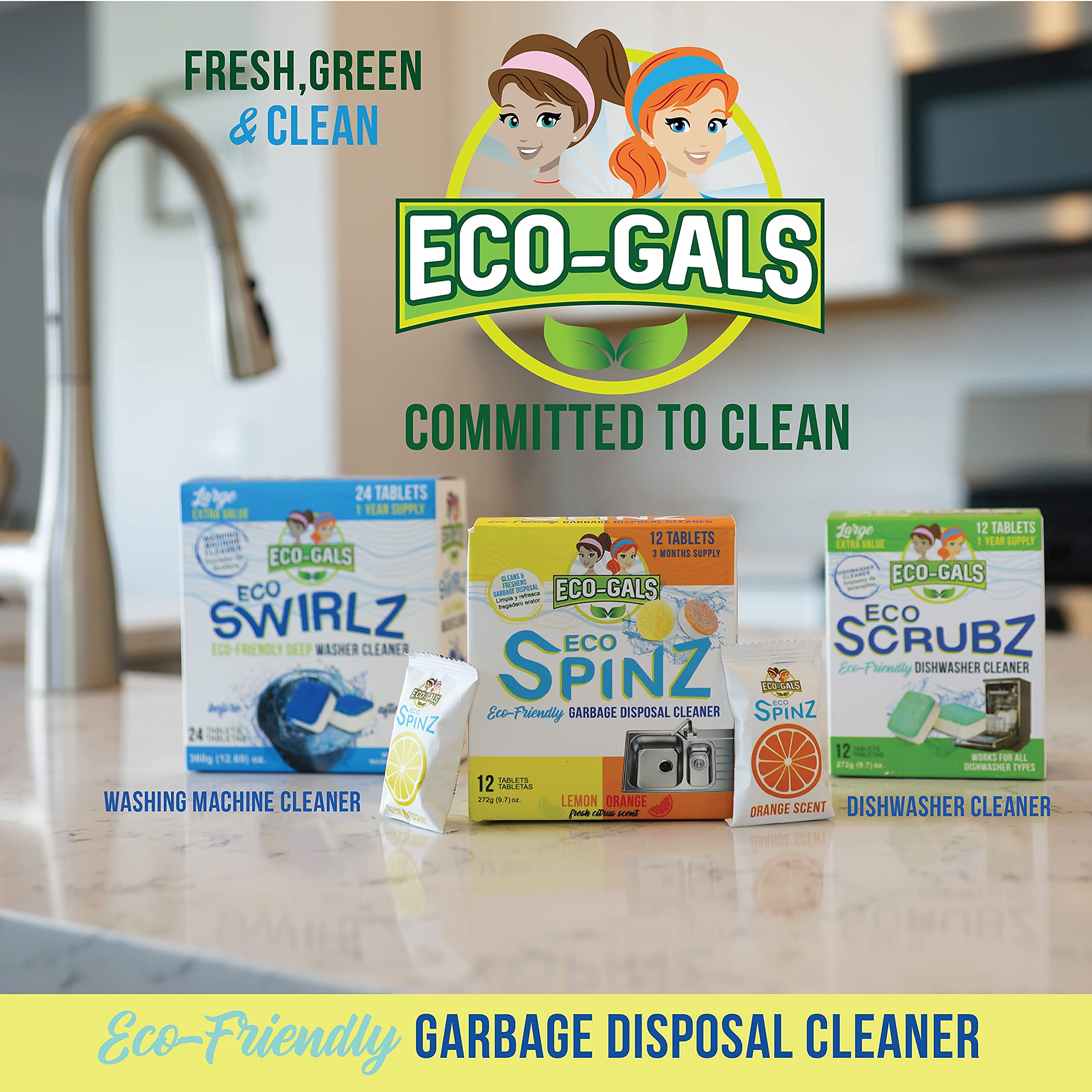Eco-Gals Unscented Dishwashing Machine Cleaner and dishwasher clean/dirty indicator combo kit