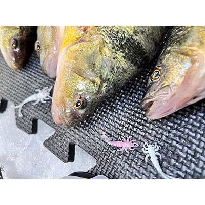 Mua True North Baits - M'eh Fly (2 inch - Goby Bling, 6pk)  Mayfly Lure  Custom Fishing Bait panfish Lure Insect Bait Rubber Worm grub Perch Crappie  Bluegill Lure Fishing FishQ