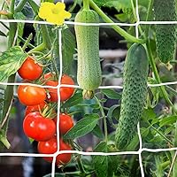 5x30 Ft Plant Trellis Netting, 2 Pack Heavy Duty Garden Trellis Netting with 50pcs Garden Ties, Square Mesh Outdoor Grow Net for Vining Climbing Plants, Tomatoes Peas Cucumber Fruits and Flower
