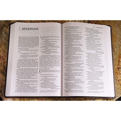 NIV, Value Thinline Bible, Large Print, Leathersoft, Brown, Comfort Print