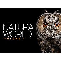 Natural World: Volume I