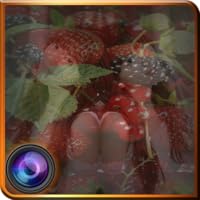 Fruits Photo Mirror Effects