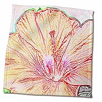 3dRose Photograph of an Orange Hibiscus Flower with Colored Pencil Effect. - Towels (twl-337350-3)