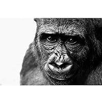 WENLI Jigsaw Puzzles Gorilla Black and White Style Puzzle Adult Puzzle 1000-6000 Piece Jigsaw Puzzles Large Puzzle Game Artwork for Adults Teens Challenging, Perfect for Family Fun, Multiple Size