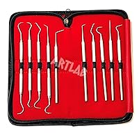 Premium Set of 12 Stainless Steel Precision Micro Probe Set Combo-Straight, Single, Short Double, Long Double, Triple and Hook Tips -Pick Tool Set 5.5