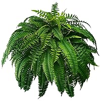 Silky Artificial Boston Fern Bush, 48Inch Artificial Plants, Suitable for Decorating Office, Patio, Living Room Faux Greenery, 88Branches (88 Branches 1pack)