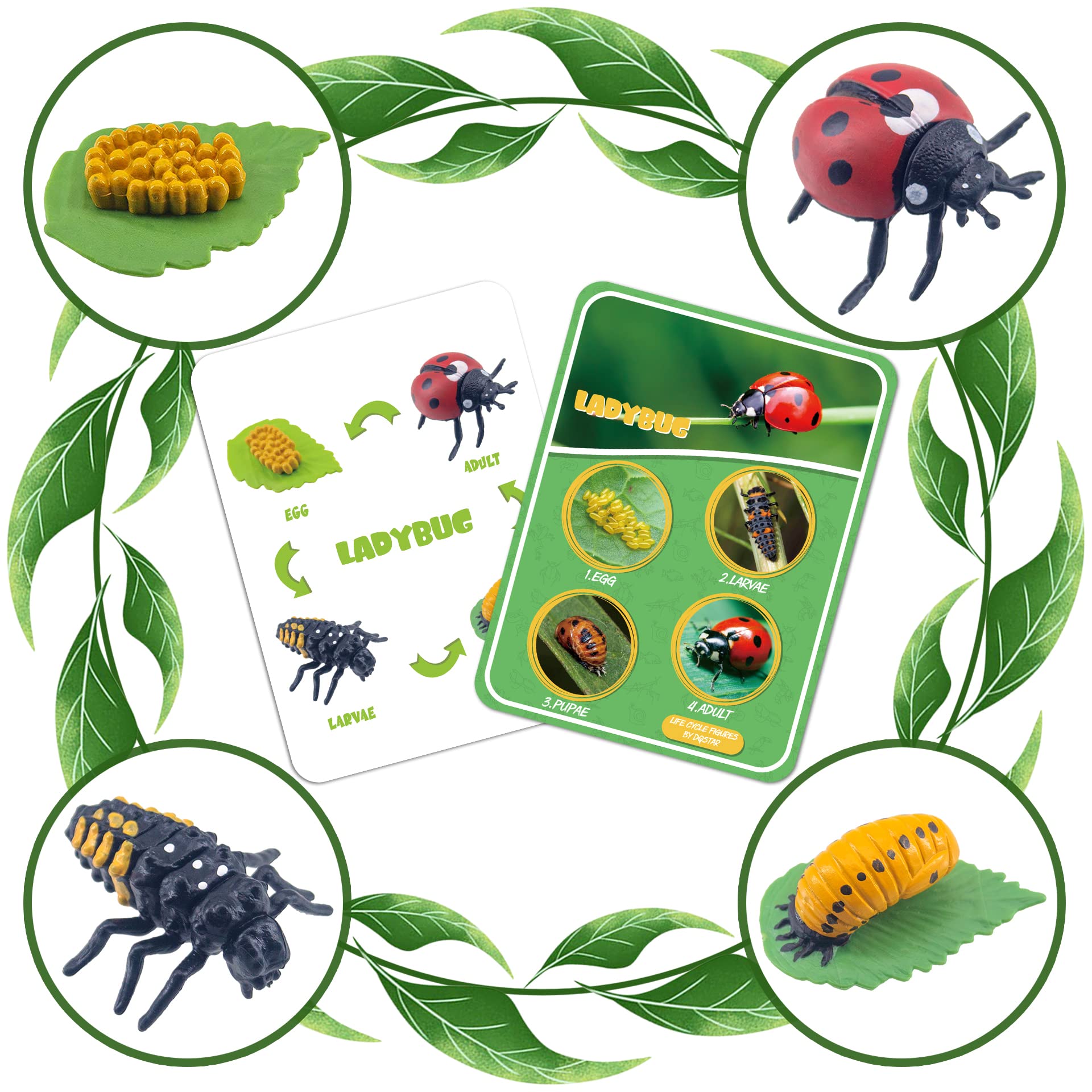 DQstar Life Cycle Figures of Praying Mantis, Ladybug, Snails, Scorpion, Crocodile, Snake, Science Toys kit, Animal Figures for Kids Age 3-12