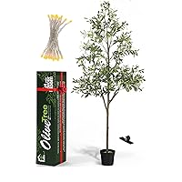 Faux Olive Tree 6FT for Home Decor Indoor Bonus 20 ft String Light