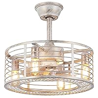 Dannilong Caged Ceiling Fans with Lights, 18 in Retro White Fandaliers Ceiling Fan with Remote, Farmhouse Enclosed Bladeless Small Ceiling Fan for Bedroom Kitchen Indoor Outdoor