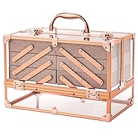 FRENESSA Makeup Train Case 11.8 Inch Acrylic Large 6 Tray Large Makeup Organizer Case Portable Cosmetic Storage Box for Makeup Artist Jewelry Nail Kits Crafts Beauty Makeup Display Case Rose Gold