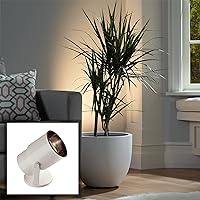 Pro Track Small Uplighting Indoor Accent Spot-Light BR20 LED Adjustable Plug-in Directional Floor Plant Home Decorative Art Desk Picture Table Living Room Interior Gloss White Finish 8