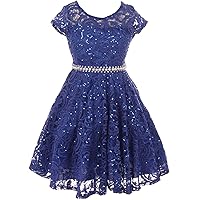 BNY Corner Cap Sleeve Floral Lace Glitter Pearl Holiday Party Flower Girl Dress