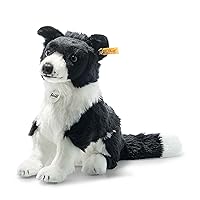 Jaycee Border Collie 11