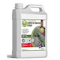 ECO GARDEN PRO - Organic Vinegar Weed Killer | Kid Safe Pet Safe | Clover Killer For Lawns | Moss Killer | Green Grass & Poison Ivy Killer | Spray Ready Glyphosate FREE Herbicide (1 Case of 4 Gallons)