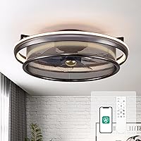 Ceiling Fan with Lights, 19.7