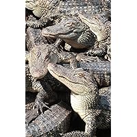 Notebook: Alligator Crocodile Reptile Dinosaur Caiman 5