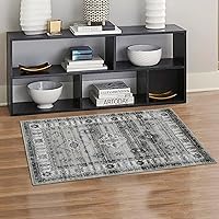 Small Area Rug 2x3 Entryway Rug Non-Slip Indoor Doormat Washable Rug Stain Resistant Floor Carpet for Living Room Bedroom Kitchen, Grey