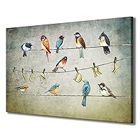 Biuteawal Laundry Room Canvas Wall Art Bird Picture Painting Prints Vintage Artwork Funny Laundry Sign Decor Home Bathroom Wall Decoration Gallery Wrap Ready to Hang