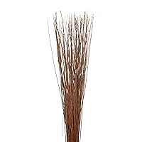 Dried Asian Willow Decorative Branches - Perfect Home Decoration and Floor Vase Filler (Brown, 4-5 Feet)