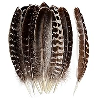 THARAHT 24pcs Natural Wild Turkey Wing Feathers Quill Bulk 6-8inch 15-20cm for DIY Crafts Project Collection Wedding Decoration Wild Turkey Tails Feather