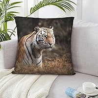 Throw Pillow Covers 26