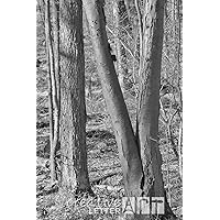 Creative Letter Art? - Letter N - 4 by 6 inch Black and White Nature Alphabet Photography Collection