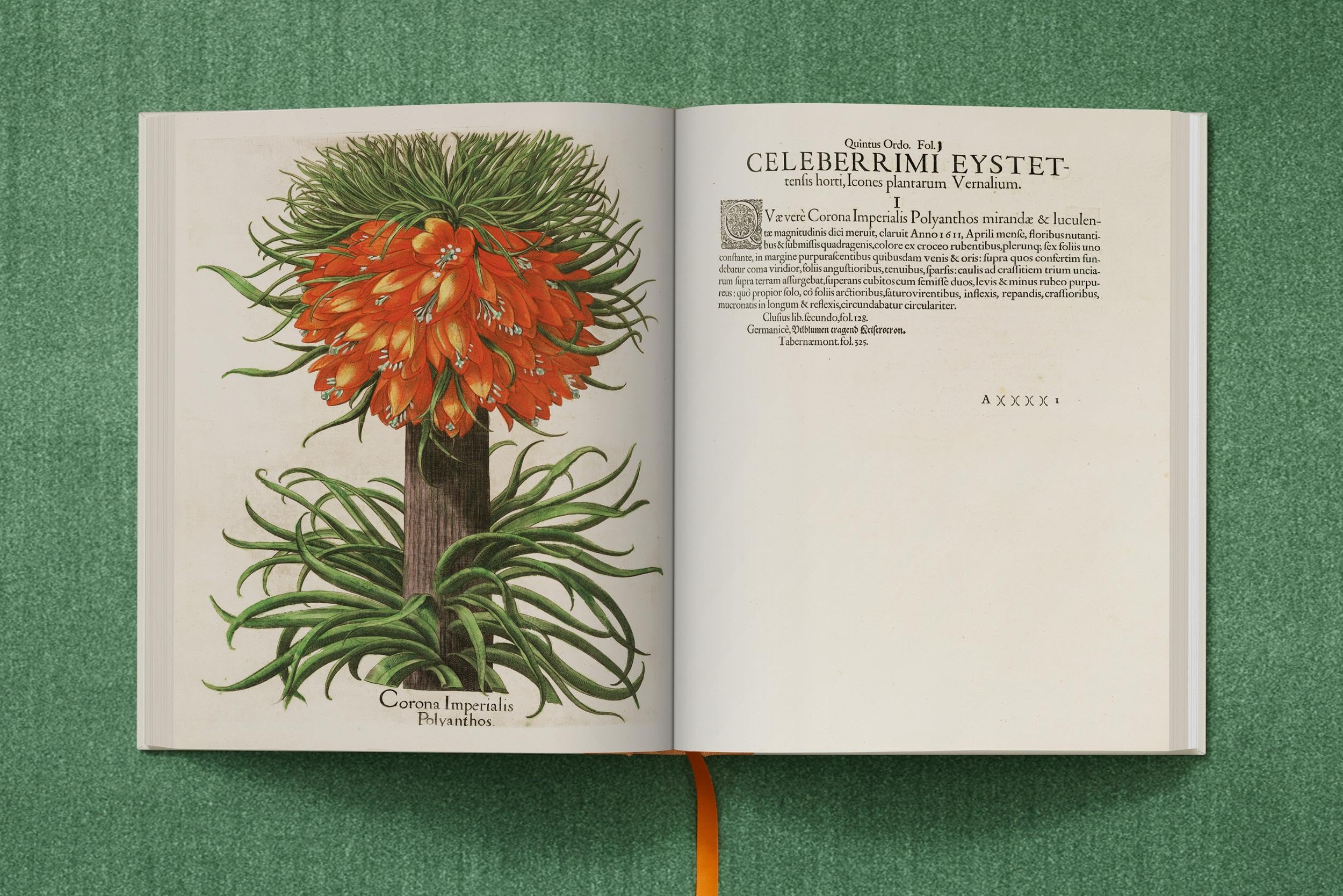 Basilius Besler The Garden at Eichstätt Set: Florilegum / Garden at Eichstatt / Book of Plants (1-3)
