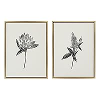 Sylvie Vintage Botanical 1 and 2 Linen Canvas Wall Art by Teju Reval of SnazzyHues, Set of 2, 18x24 Gold, Decorative Plant Art for Wall