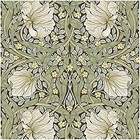 HAOKHOME 94028-1 Vintage Floral Wallpaper Peel and Stick Botanical Sage Green/Yellow Wall Murals Home Kitchen Bedroom Decor by William Morris 17.7in x 9.8ft