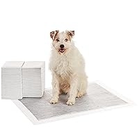 Amazon Basics Dog and Puppy Pee Pads with 5-Layer Leak-Proof Design and Quick-Dry Surface for Potty Training, Odor-Control Carbon, XL, 28 x 34 Inch - Pack of 50, Gray