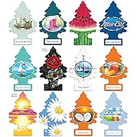 Little Trees Variety Pack Car Air Freshener, New and Rare 12 Best Vacation Scents Tested and Recommended by Youtuber. Including Moroccan Mint Tea, New Car and More. Plus 1 Basicos Microfiber Cloth.