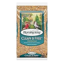 Clean & Free Shell Free Wild Bird Food, Premium No Mess Bird Seed for Outside Feeders, 10-Pound Bag