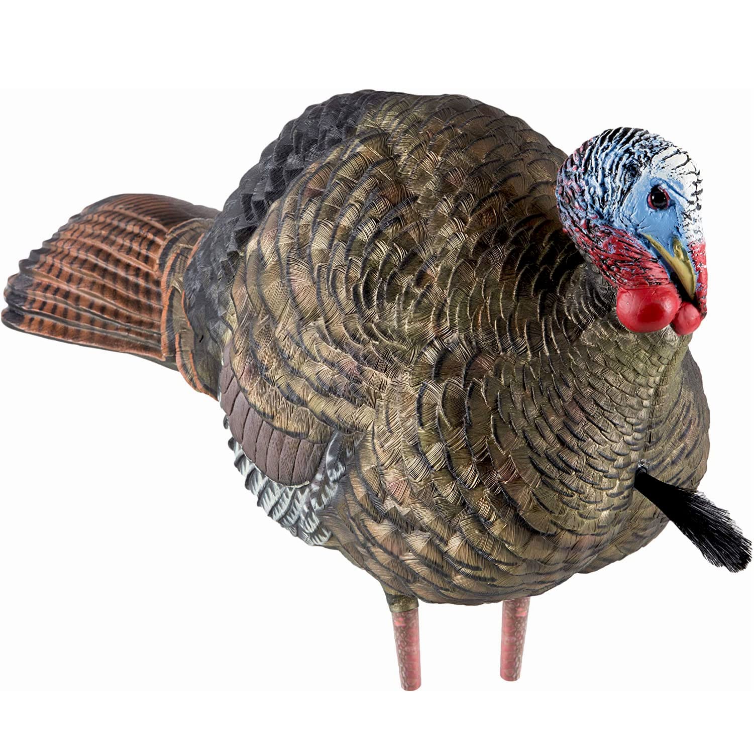 Avian-X LCD Half-Strut Jake Turkey Decoy | Durable Realistic Lifelike Collapsible Standing Hunting Decoy with Carry Bag & Stake, AVX8012