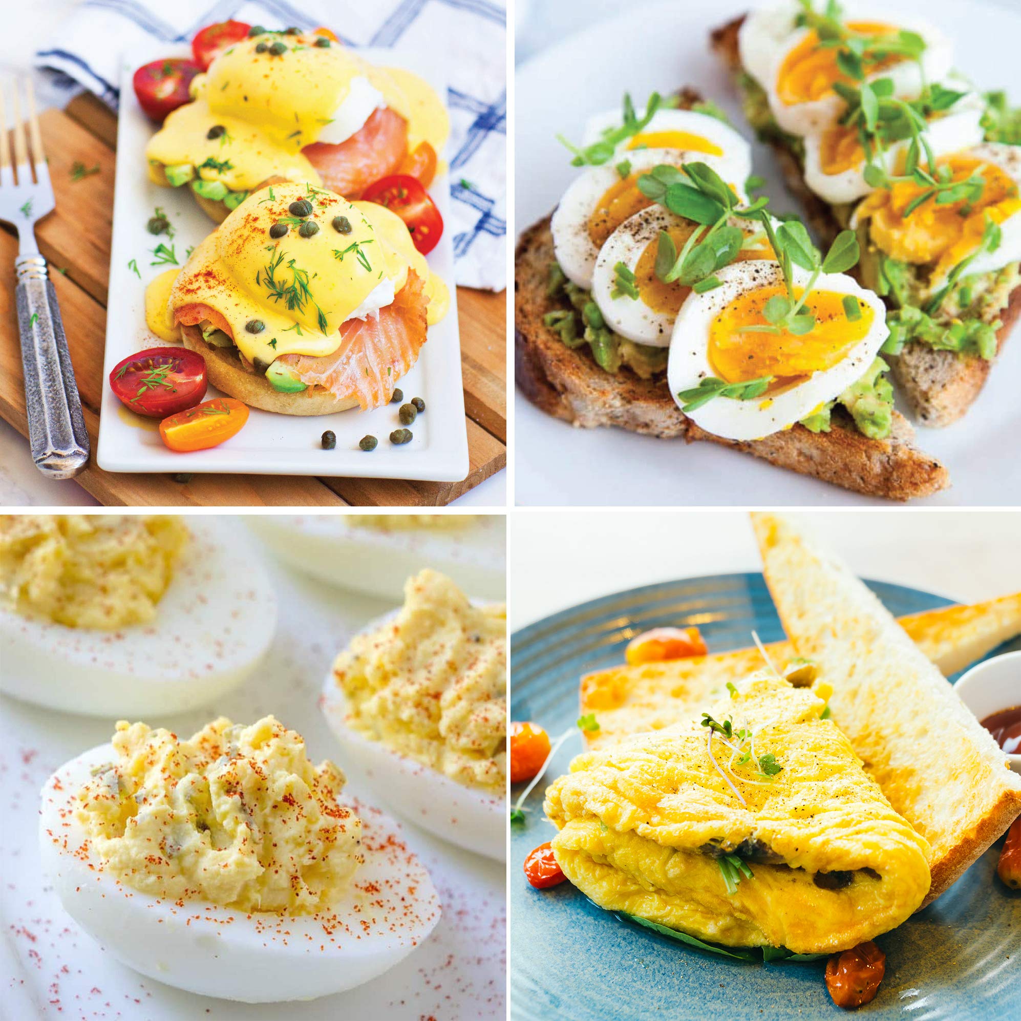 Elite Gourmet EGC-007 Rapid Egg Cooker, 7 Easy-To-Peel, Hard, Medium, Soft Boiled Eggs, Poacher, Omelet Maker, Auto Shut-Off, Alarm, 16-Recipe Booklet, White