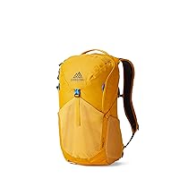 Gregory Mountain Products Nano 24, Hornet Yellow
