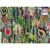 Galison Houseplant Jungle 1000 Piece Jigsaw Puzzle for Adults – Plant Jigsaw Puzzle with Mix of Succulents & Other Household Plants – Fun Indoor Activity, Multicolor