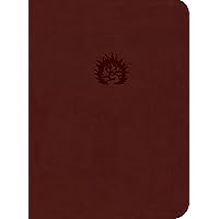 Reformation Study Bible (2015) ESV, Leather-Like Brick Red Reformation Study Bible (2015) ESV, Leather-Like Brick Red Leather Bound