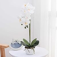 Orchid white artificial orchid Flowers fake orchid phalaenopsis orchid plant in pot for home decor Flower Arrangement with White ceramic Vase Party Dining Table Centerpiece Decoration Height 17