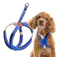 No Pull Dog Harness Adjustable Lightweight for Small to Large Dogs Walking, No Choke, Leather, Heavy Duty, Easy Control, Comfortable Soft Padded Nylon Vest (Blue, Small)