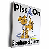 3dRose Piss On Esophageal Cancer Awareness Ribbon Cause... - Museum Grade Canvas Wrap (cw_115835_1)