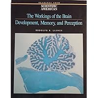 The Workings of the Brain: Development, Memory, and Perception (Readings from Scientific American) The Workings of the Brain: Development, Memory, and Perception (Readings from Scientific American) Paperback Mass Market Paperback