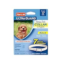 UltraGuard Flea & Tick Collar for Dogs and Puppies, 7 Month Flea and Tick Protection and Prevention Per Collar, White, Up to 15 Inch Neck