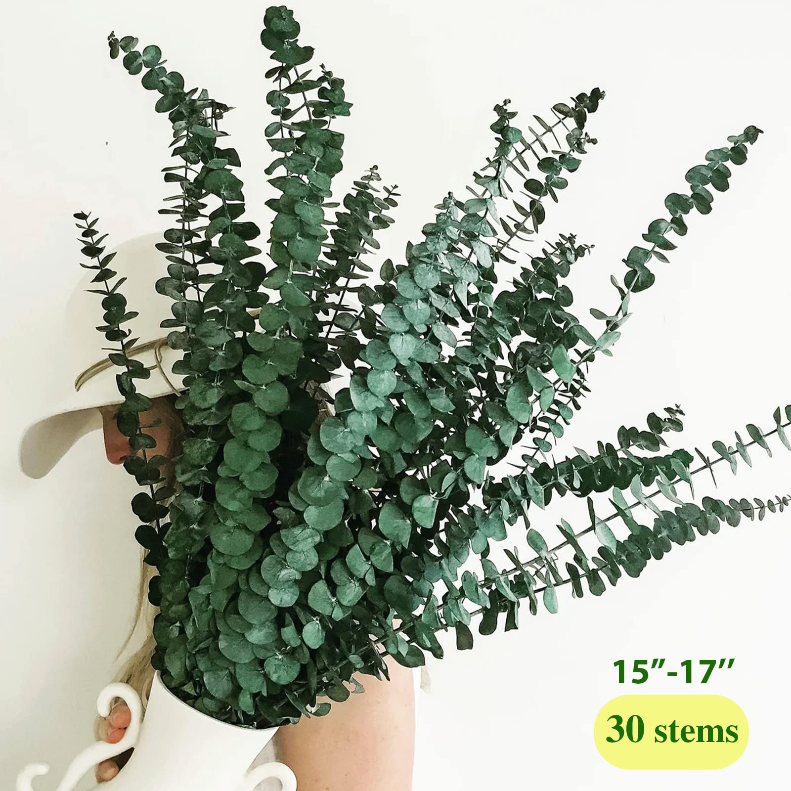 Large Package Dried Preserved Eucalyptus Stems Shower Bundle, 30 Pcs 17