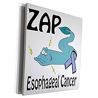 3dRose Zap Esophageal Cancer Awareness Ribbon Cause Design - Museum Grade Canvas Wrap (cw_115295_1)